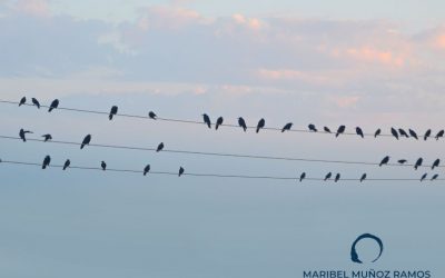 Duelo migratorio: ¿Qué es y cómo se afronta?
