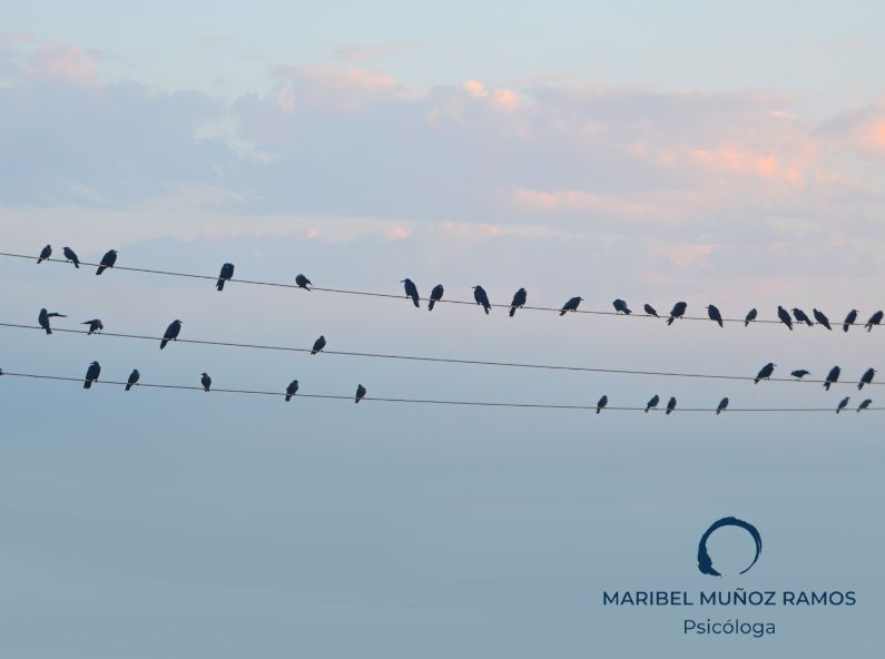 Duelo migratorio: ¿Qué es y cómo se afronta?